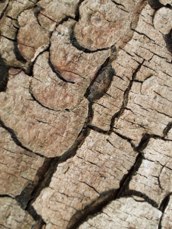 Fissures Colorées